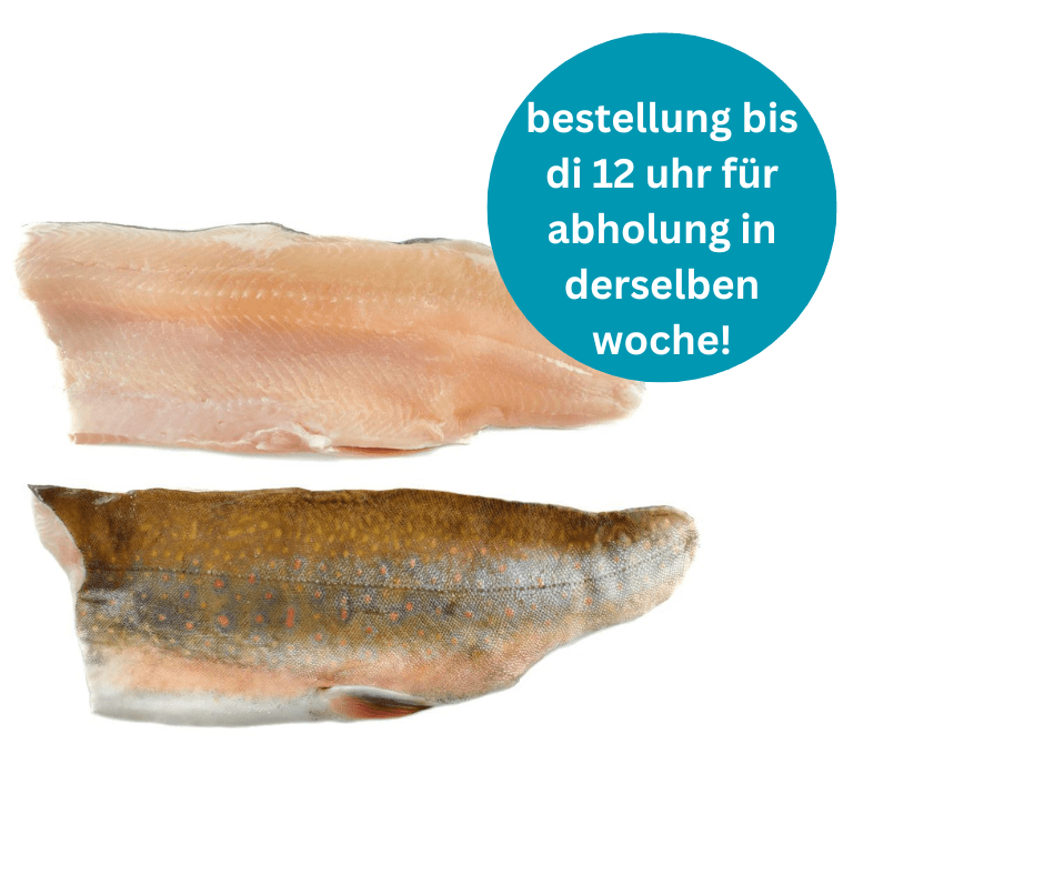 Two fresh bachsaibling fish fillets, one showing the skin side with a brown and orange pattern, the other showing the pale.