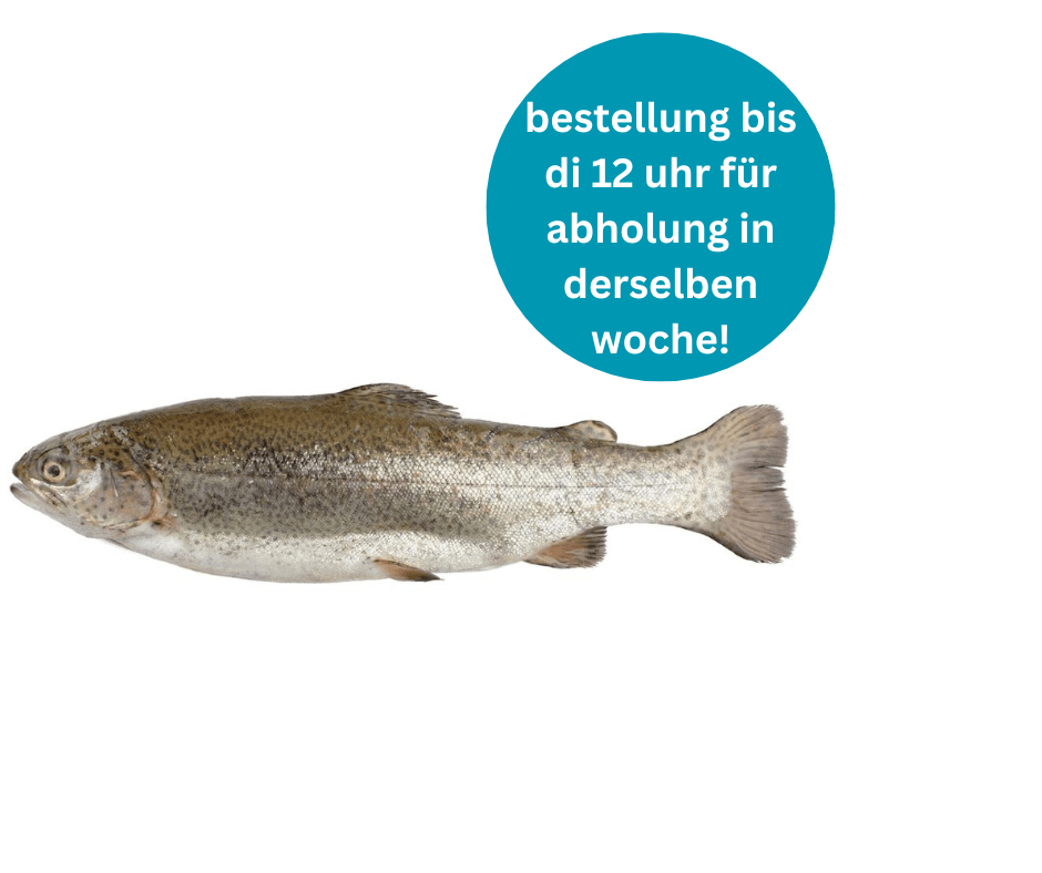 Whole rainbow trout with speckled grayish skin and silvery belly, about 330-350g.